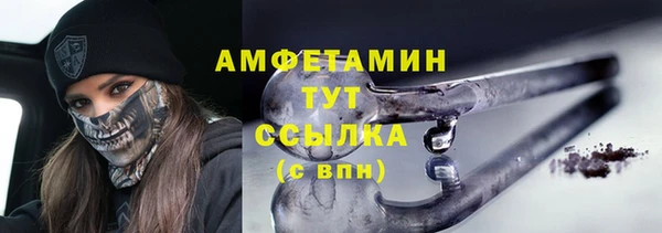 шишки Бородино